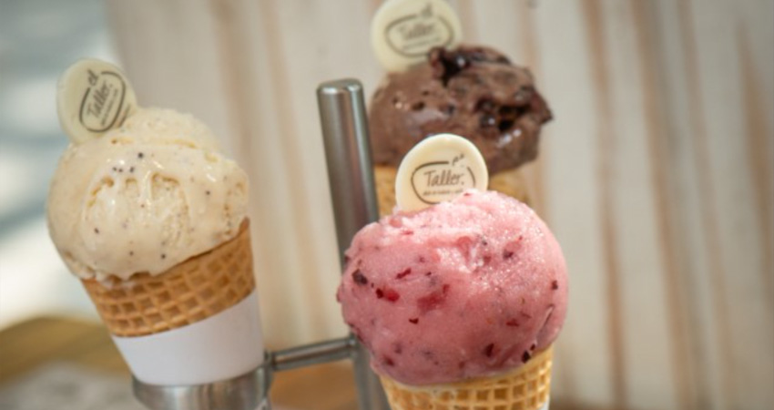 ¿Qué es El Taller?